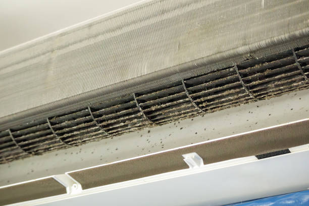 Best Residential Air Duct Cleaning  in Pinehurst, TX
